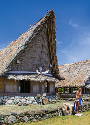 Men House